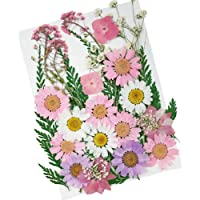 Flores Prensadas- Flores Secas Naturales Flores Prensadas Naturales Flores secas de uñas Multicolores para Resina…